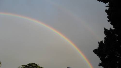double bow